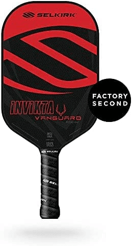 best pickleball paddle under $100